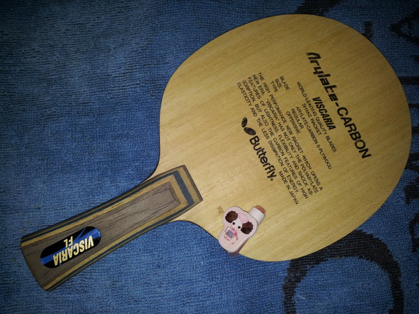 ��ֻ������VIS