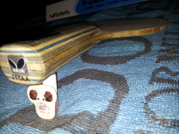 ��ֻ������VIS