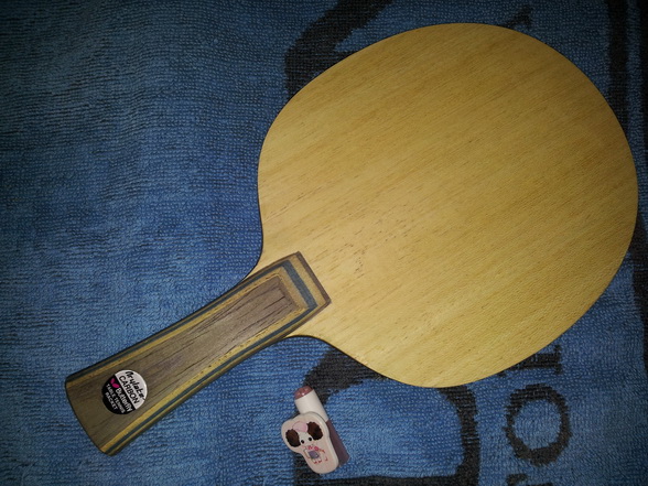 ��ֻ������VIS