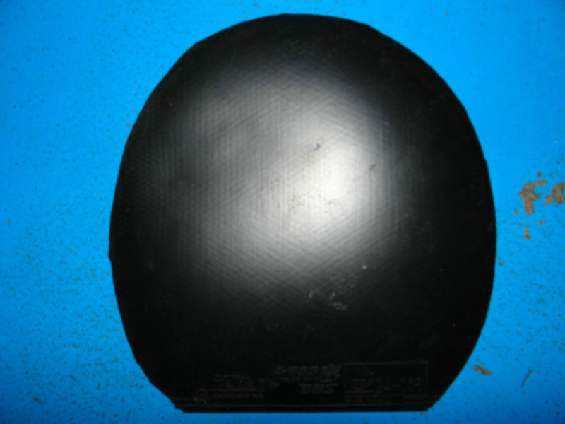 ���պ���׽�