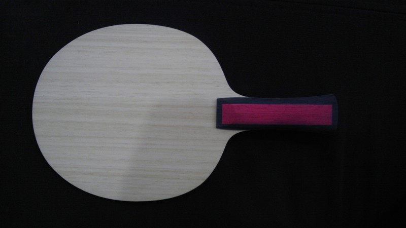 �����ֺ�����עViscaria