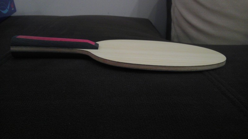 �����ֺ�����עViscaria