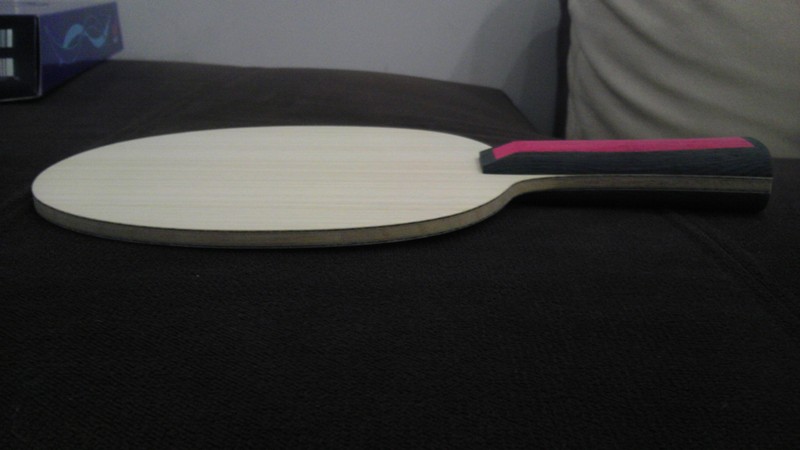 �����ֺ�����עViscaria