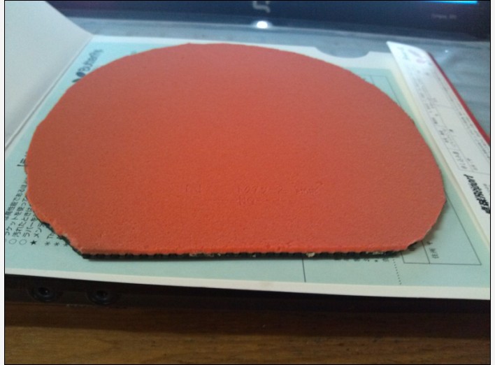 �� 09��ɫ��ʡ�� ��ɫt05 ��˫ϲ�޻���ˮ500ml