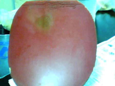 ����ye ��ʡ�� sriverfx