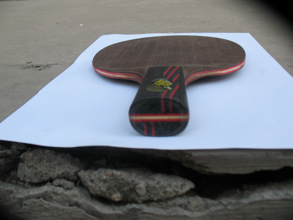 ��һֻ���ı��Ʊ��ڣ�����Ϊ�Ӵ��ĥС��