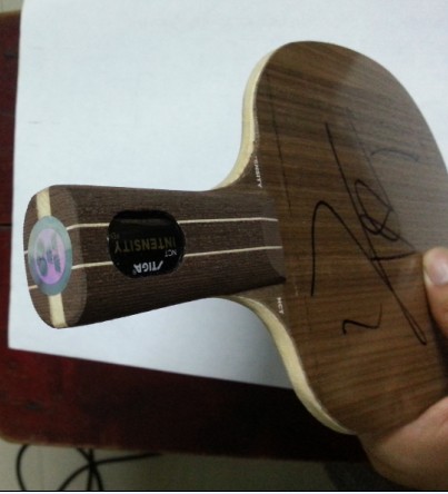 ���л�Stiga��ǿ��ľ