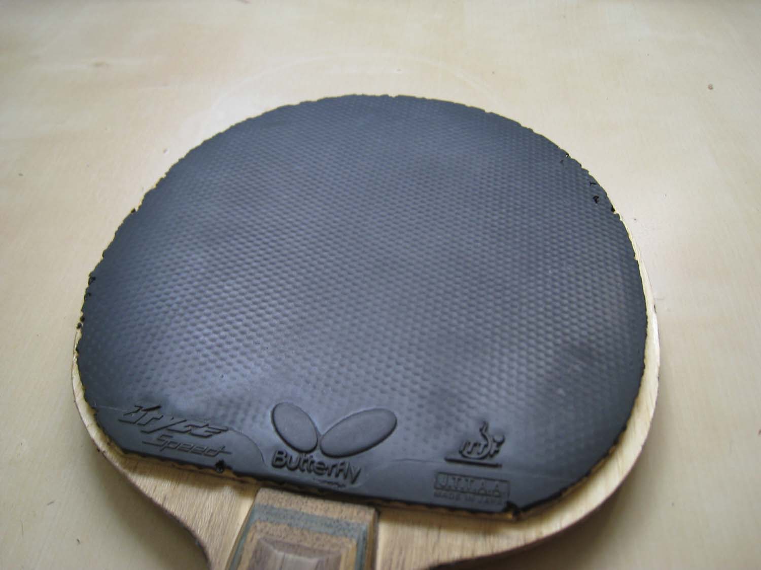 ����������µ��ס�F1��С����