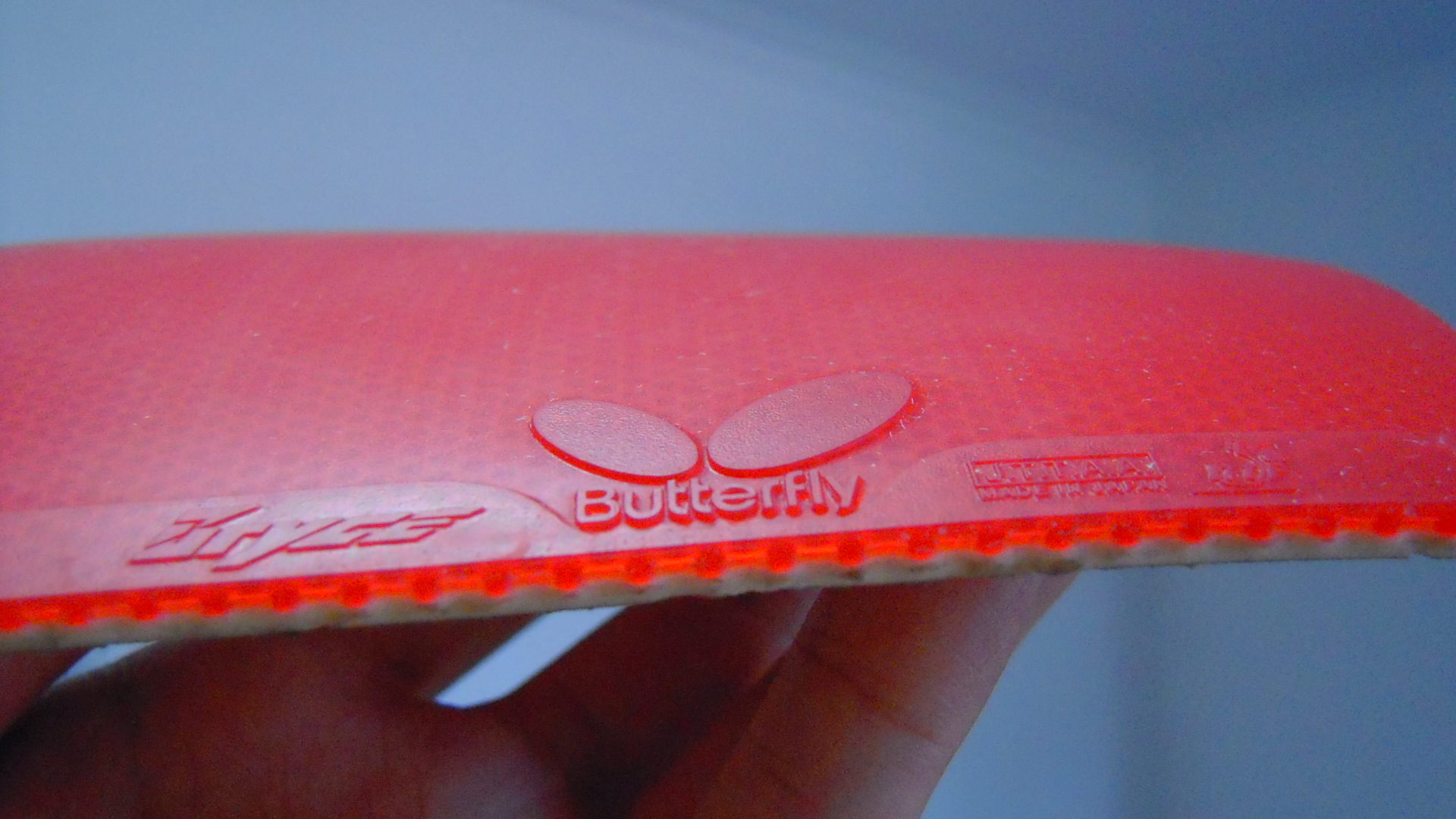 [��ͼ][ע��]���� ���к������BRYCE����ɫ2.1��,20���ʣ��������飡