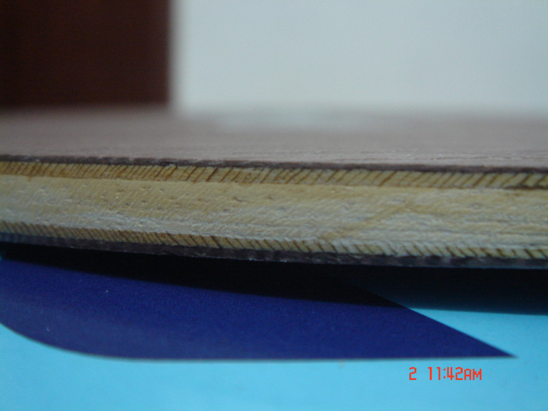 ̼˹ٿSTIGA  CRW˫ϲһ