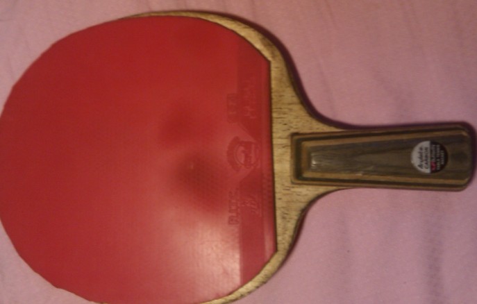 ���ͺ���������