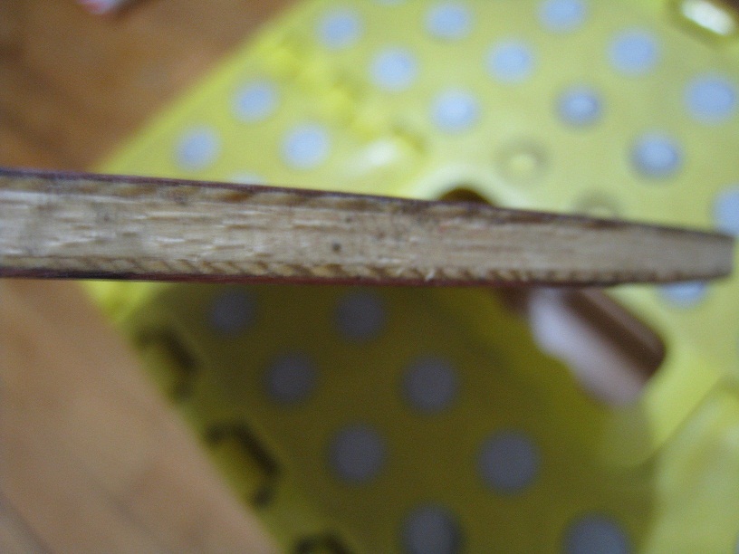 �����������������������������������������������л�õ��5���ˡ�������������������������������������������������������������������������������������������������