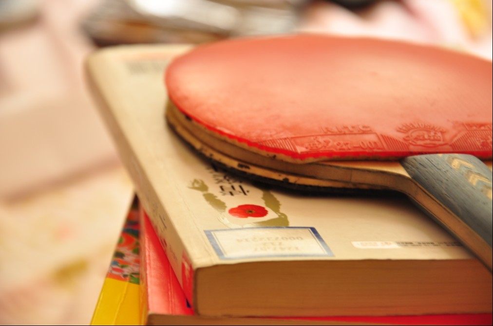 ��С��ѵ�������µ���ɫ���� ���� ����˿�� �ʺ�С�������ü۸�120