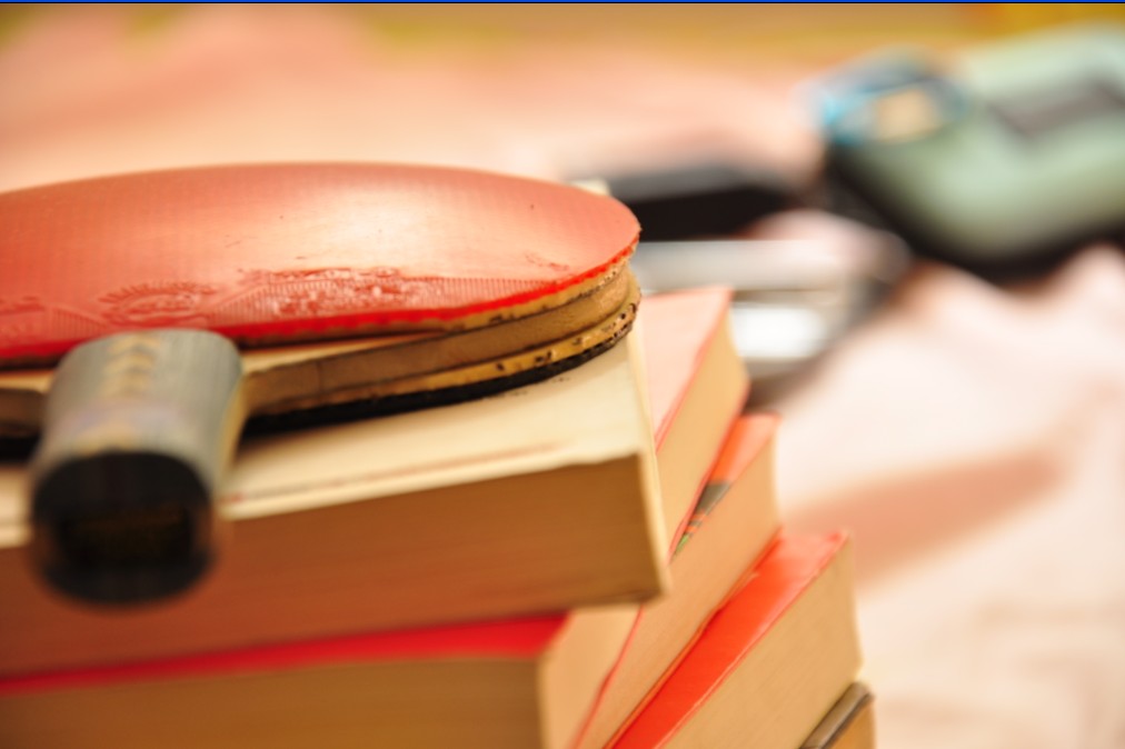 ��С��ѵ�������µ���ɫ���� ���� ����˿�� �ʺ�С�������ü۸�120