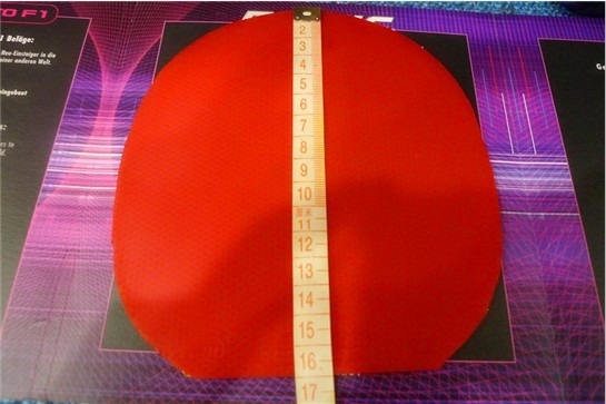 ��̳��ͼ۳���˫ϲ��������ʡ�����������F1