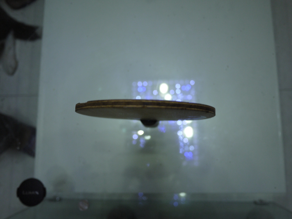 [ԭ��]����Joola    250Ԫ