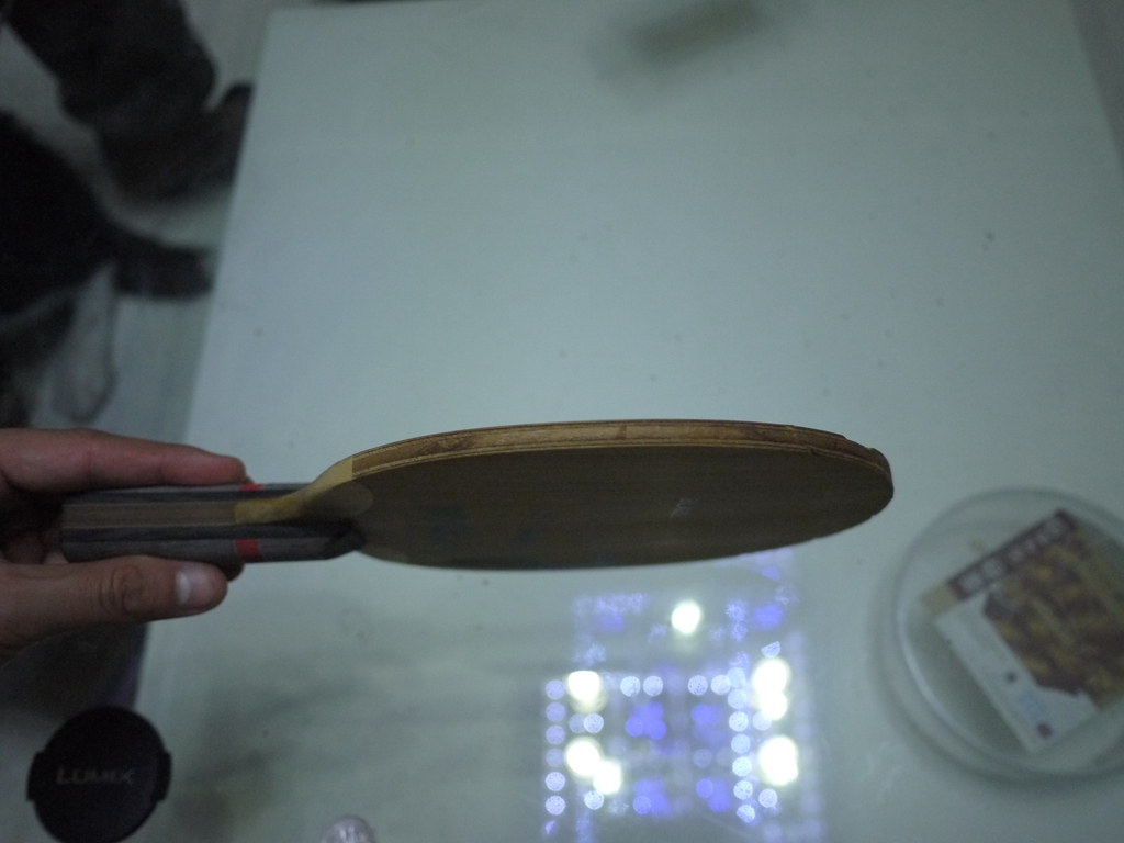 [ԭ��]����Joola    250Ԫ