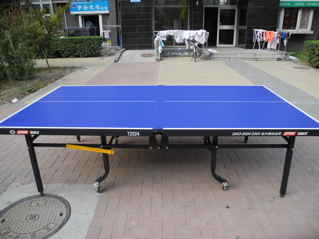 ������������˫ϲT2024ƹ����̨