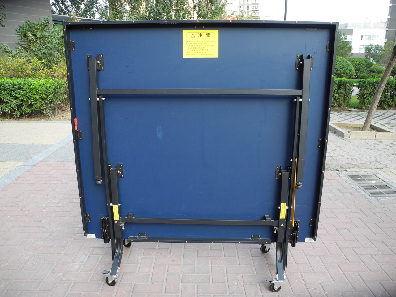 ������������˫ϲT2024ƹ����̨