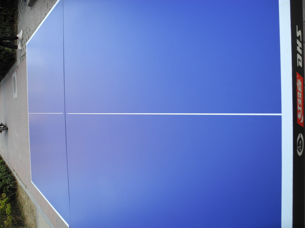 ������������˫ϲT2024ƹ����̨