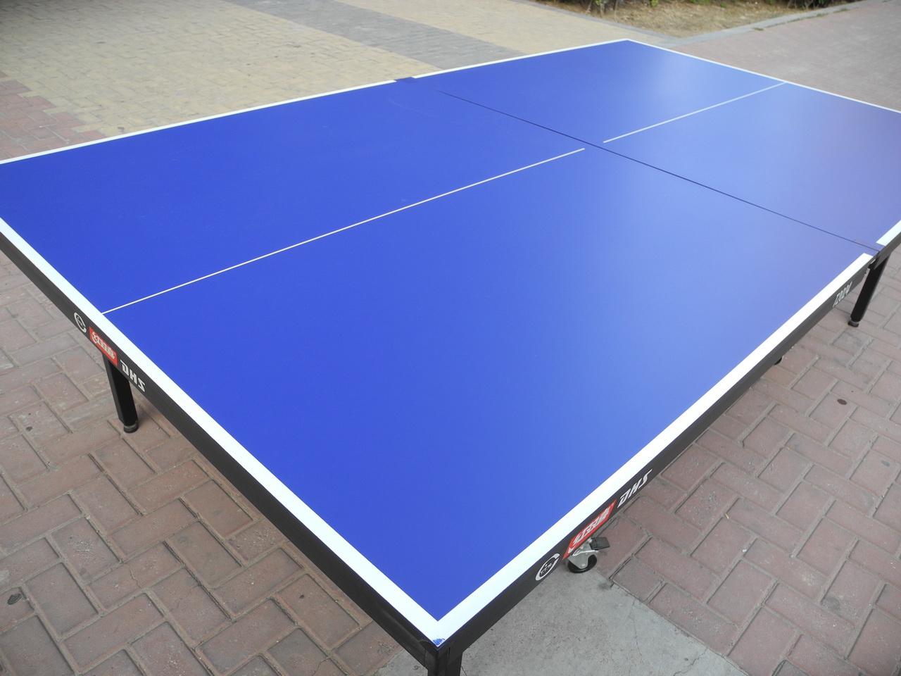 ������������˫ϲT2024ƹ����̨