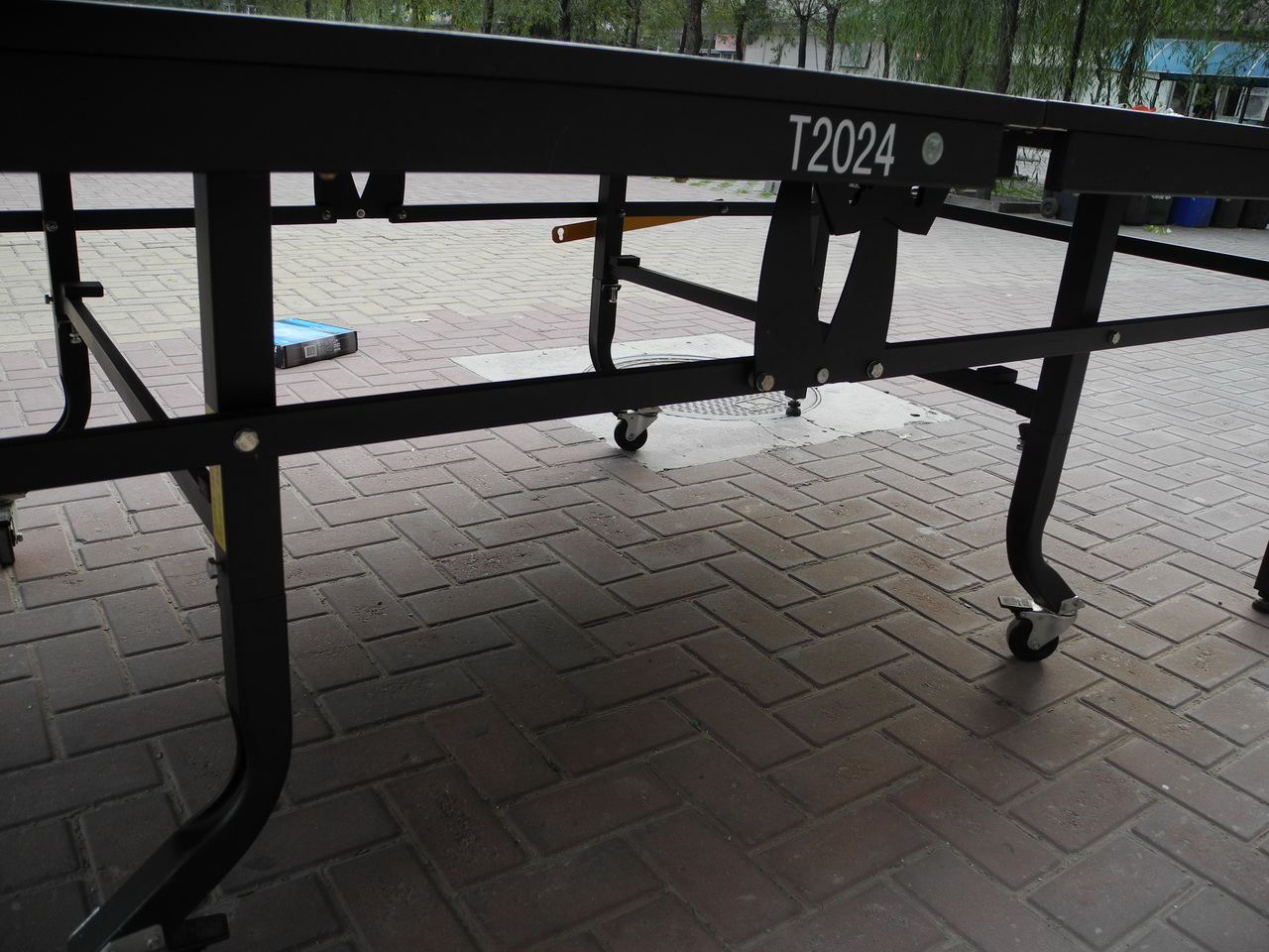 ������������˫ϲT2024ƹ����̨