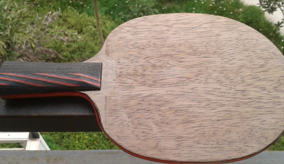 ���ʵ�ı� 380���� 87g ��һ�ų�ɫ��զ�ĵĺ�ɫ���ʹ�Z