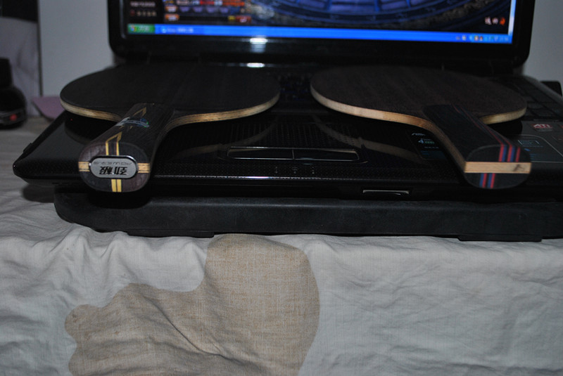 ֧����  95�� ����12