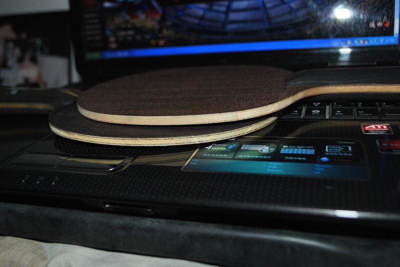 ֧����  95�� ����12