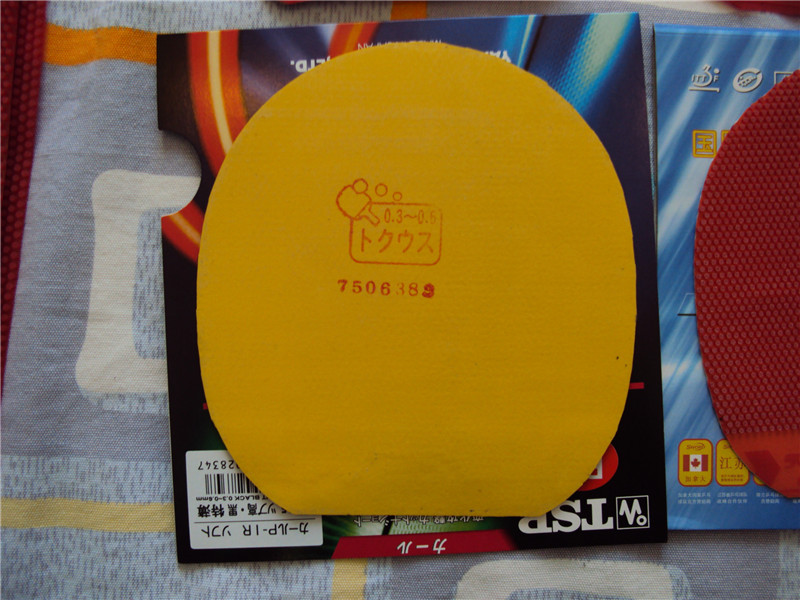 �����ֳ���