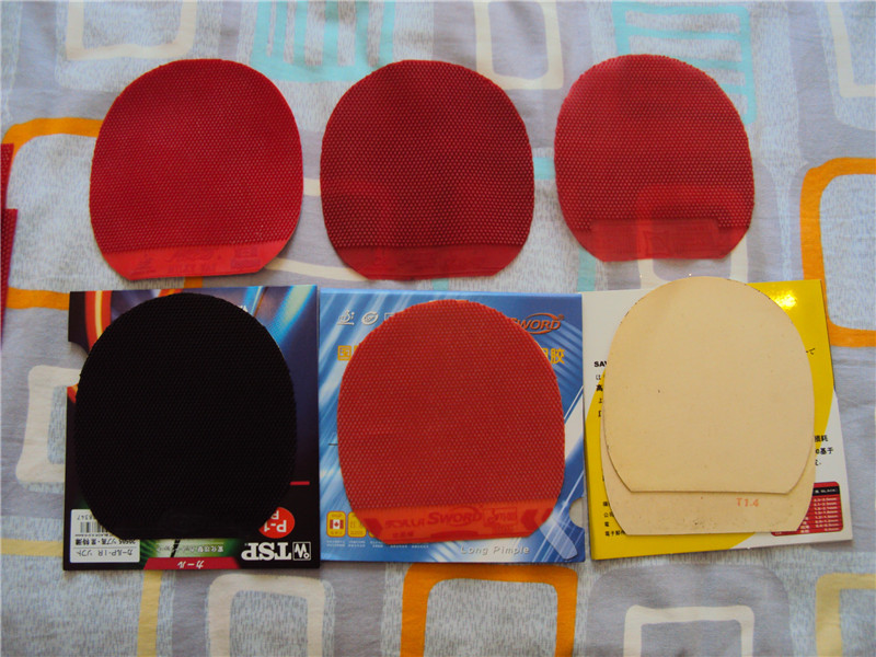 �����ֳ���