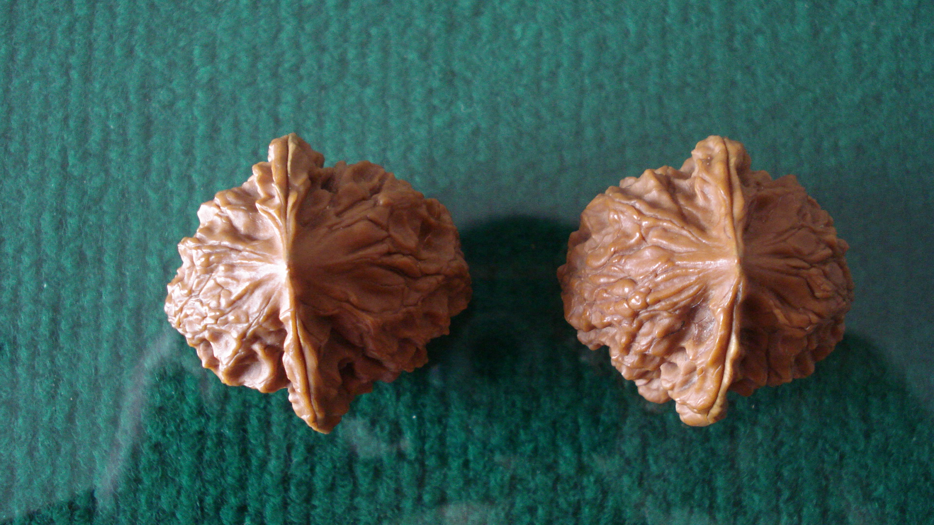 ������ST÷�ȷ�̼����650Ԫ**********