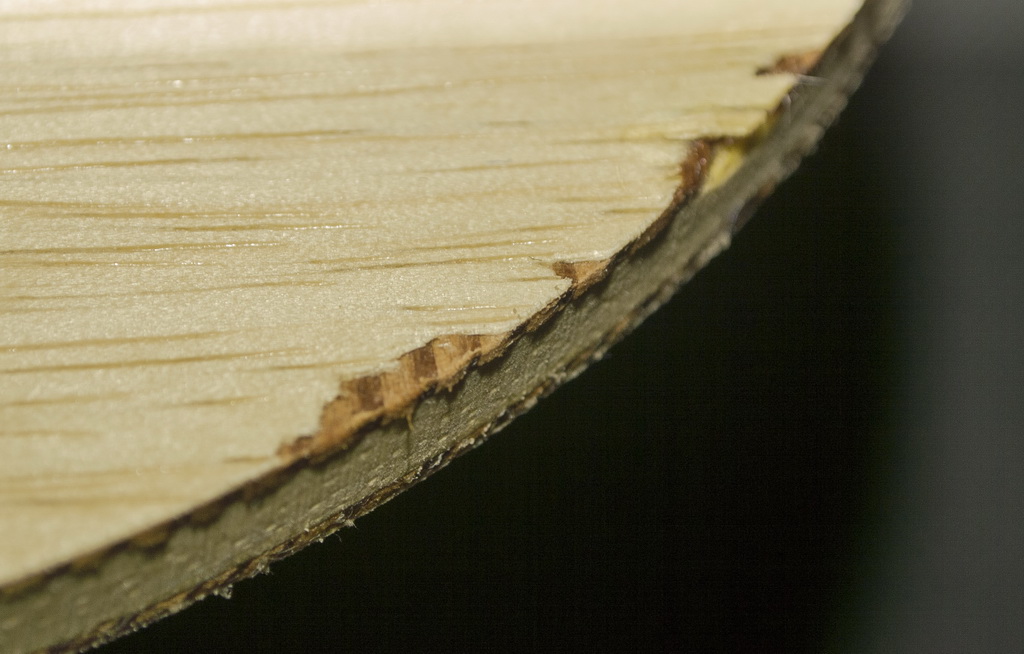 ���������񶫰���VPS���򻻺�YEO