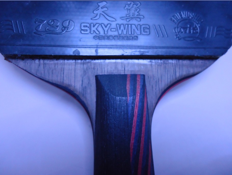 ���й�ʽϸ�����̿��������Ƥ��