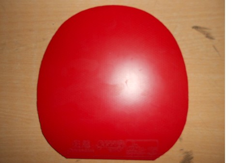 ��98��ʡ���տ��һ��