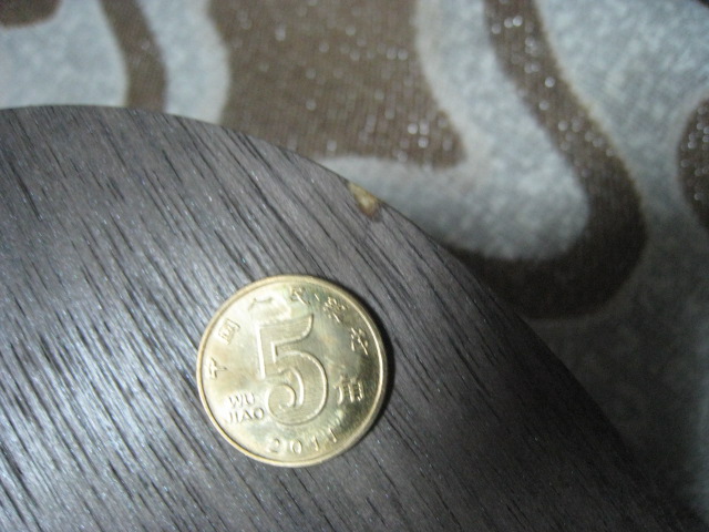 ��WYL777��Ʒ����һ�����ѳ�����ӡ�ȫ�Ǻ�� �ż̿�ZLC ��AN�� INN ZLC ��FL��  �׼�ͼ ��FL�� ŷ�� ��̴5 ��2ֻST�� ��ӭ��λ����ݰ�ټ��ͣ���ש���չ���