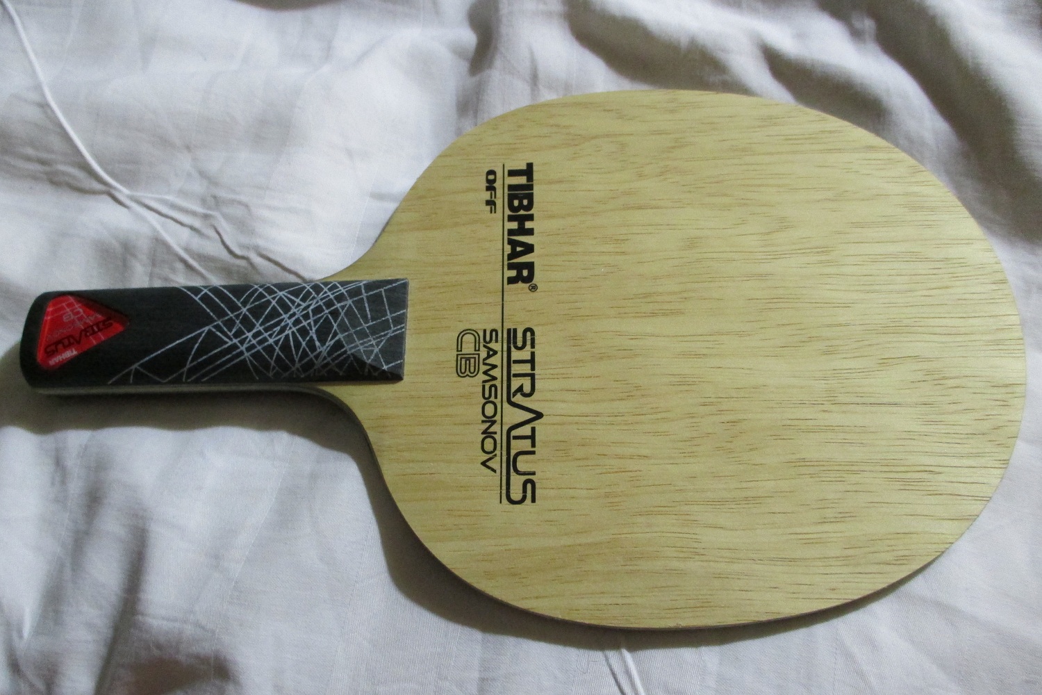 ��һֻ���׵���̼������