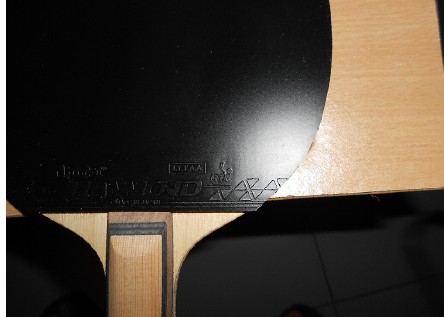 ���Ѹδ����������׽�