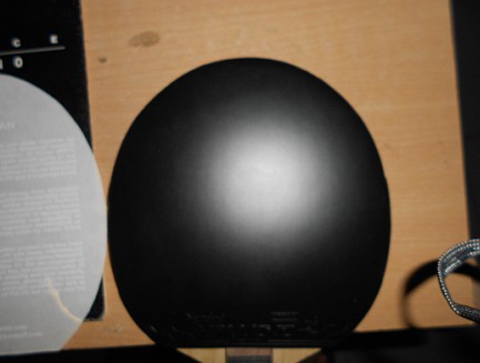 ���Ѹδ����������׽�