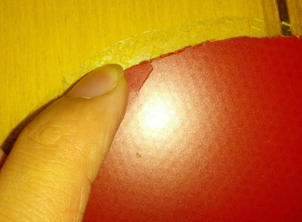 ��22#������ʡ��3+T80��450Ԫ�������ʣ�