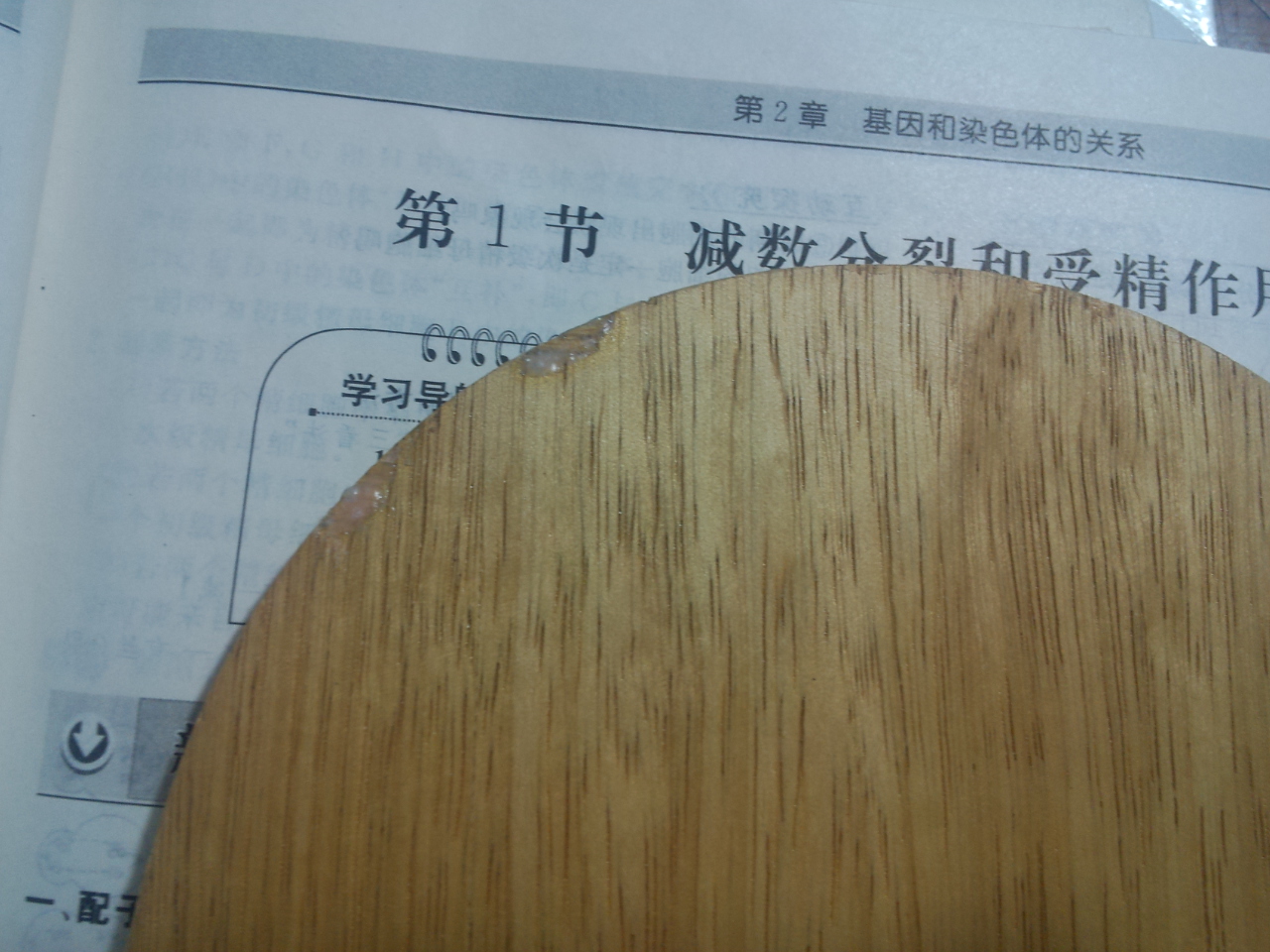 ��9�������6�»Ʊ���˹̼��