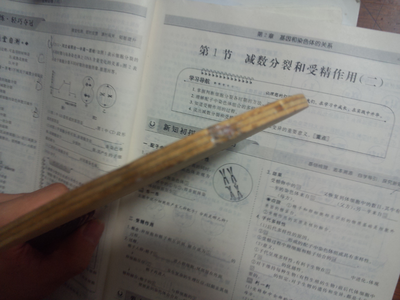 ��9�������6�»Ʊ���˹̼��