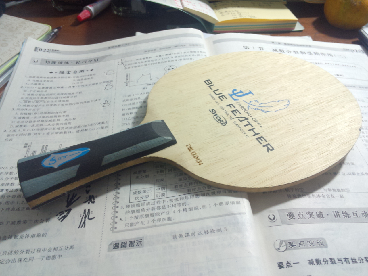 ��9�������6�»Ʊ���˹̼��