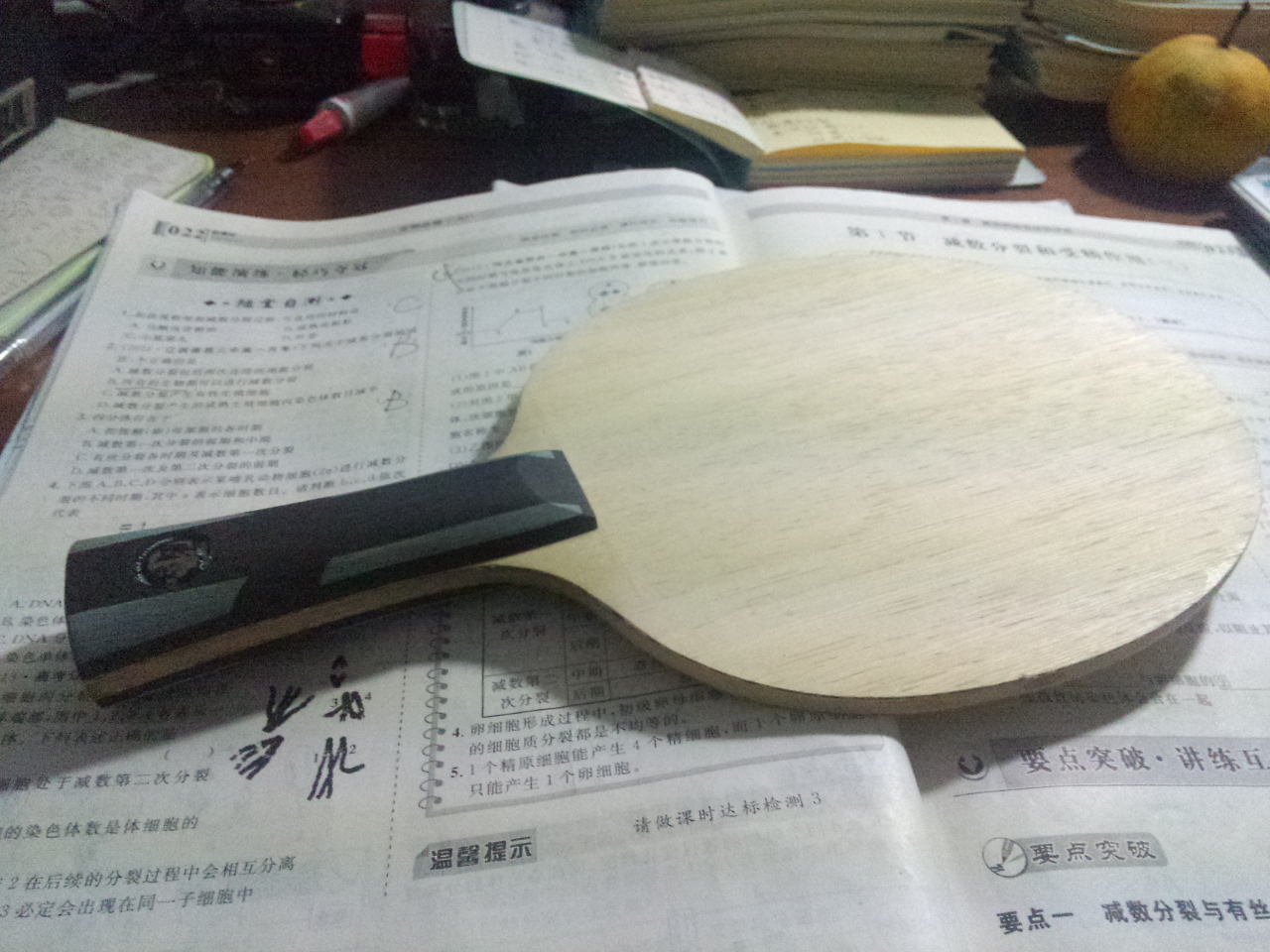 ��9�������6�»Ʊ���˹̼��