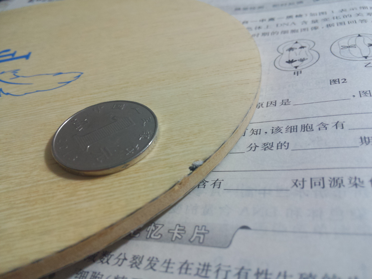 ��9�������6�»Ʊ���˹̼��