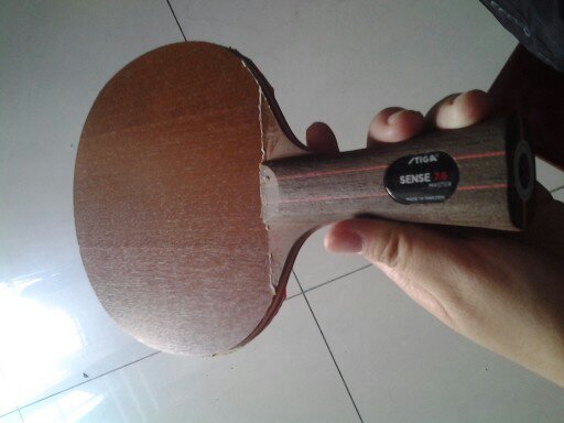 400���ʳ�SENSE7.6������Ӻ���С��һ��