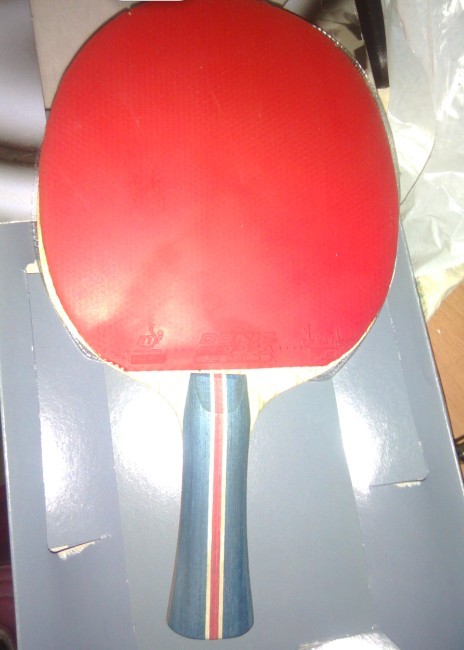 лvisлviva