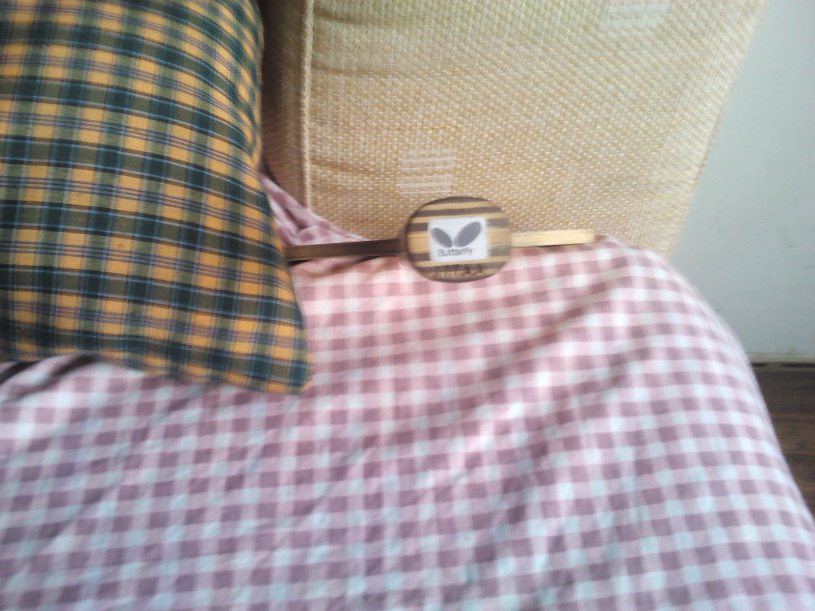 ��������ĵ�һֻ-------------------------------------------ST�Ʊ���