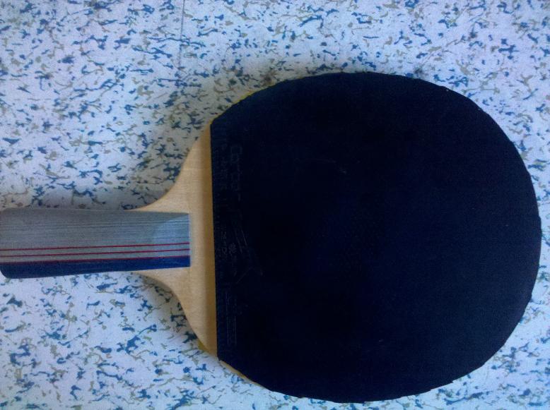 ���˳�palio k3��������ˮ�ǡ�dj200����ѵ���ס�