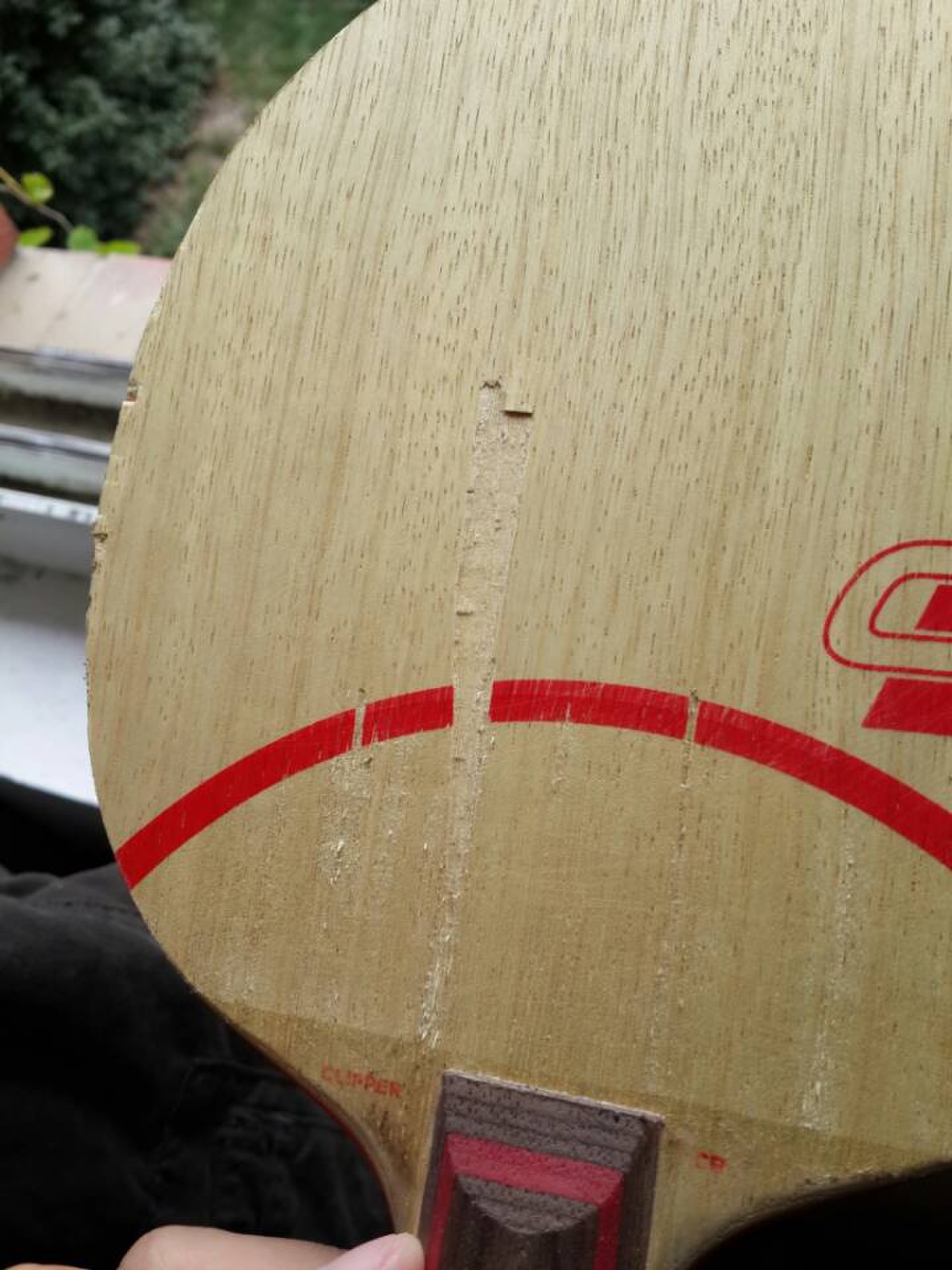 �������������CL